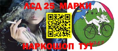 СК Коммунар
