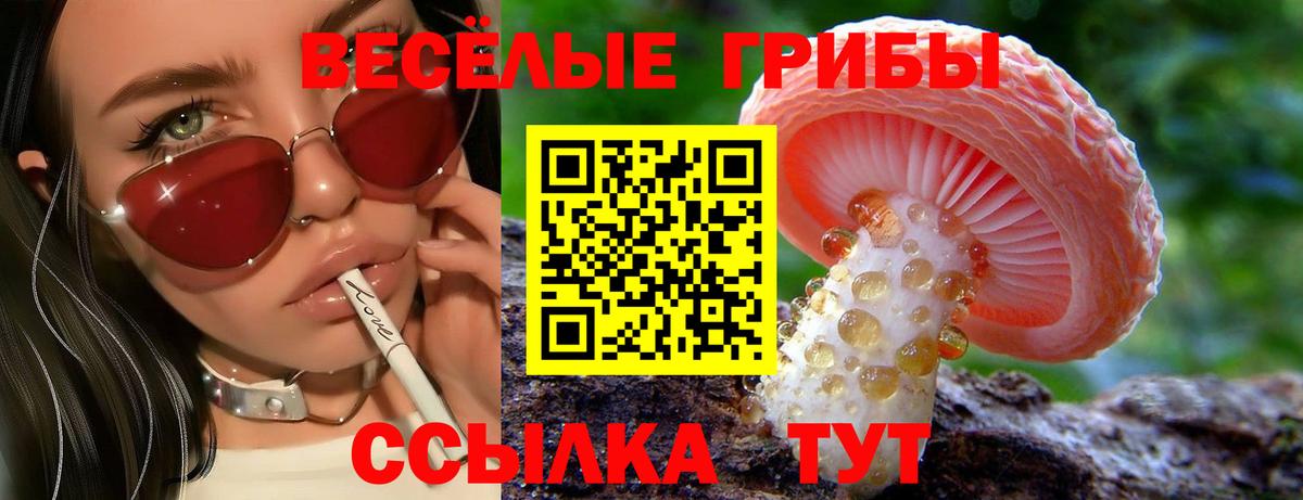 Бирск  Галлюциногенные грибы Magic Shrooms  Вход с VPN 